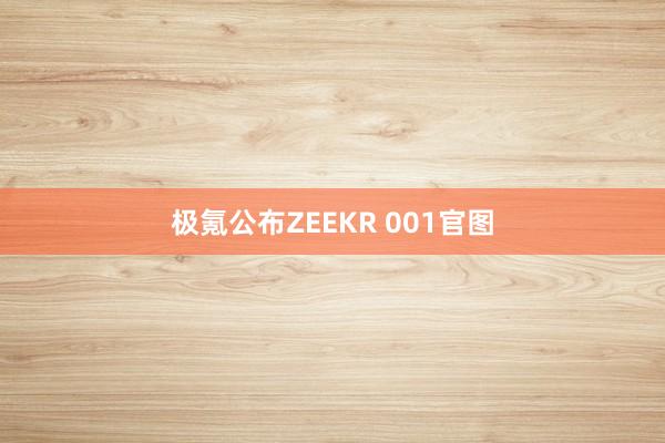 极氪公布ZEEKR 001官图