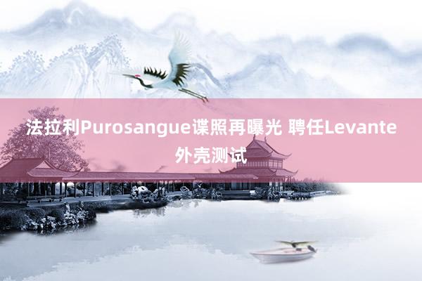 法拉利Purosangue谍照再曝光 聘任Levante外壳测试