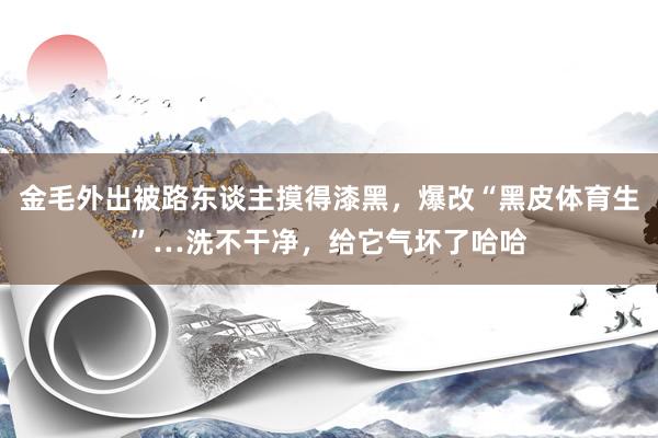 金毛外出被路东谈主摸得漆黑，爆改“黑皮体育生”…洗不干净，给它气坏了哈哈