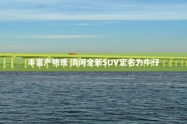 丰富产物线 清闲全新SUV定名为牛仔