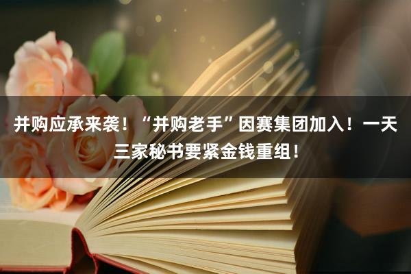 并购应承来袭！“并购老手”因赛集团加入！一天三家秘书要紧金钱重组！