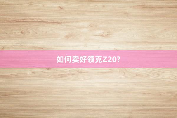 如何卖好领克Z20?