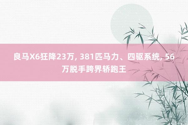 良马X6狂降23万, 381匹马力、四驱系统, 56万脱手跨界轿跑王